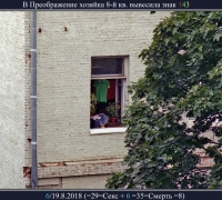 2464 Окно 14.jpg