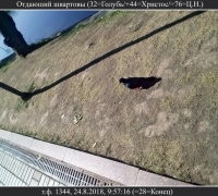 2515 Отдающий швартовы.jpg