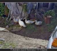 2534 Капитаны 0.jpg