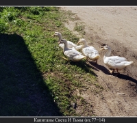 2536 Капитаны 2.jpg