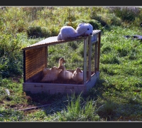 2538 Капитаны 4.jpg