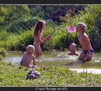 2570 Стало Четыре.jpg