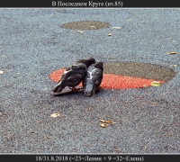 2581 В последнем круге.jpg