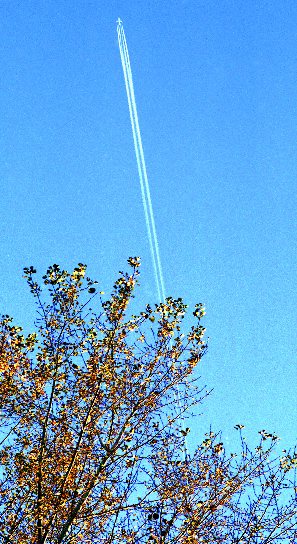 Дебил Дебил